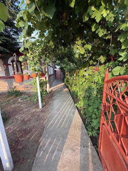 Casă cu 4 camere cu Teren 1700 Mp în Bărăganul