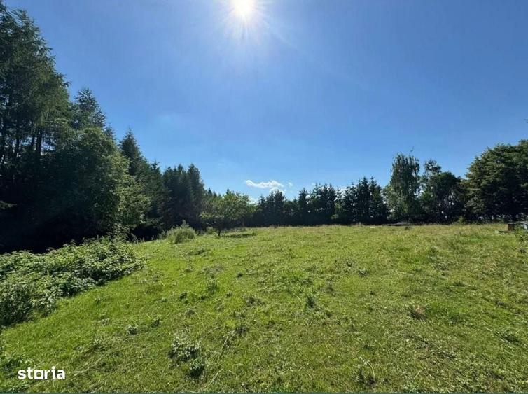 Teren intravilan 5.755 mp | Zona Muzeul Satului Maramuresean, Sighetu - 3