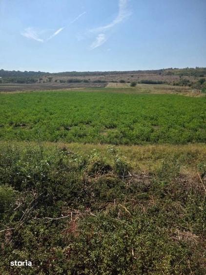 Teren de 4200 mp, în Crângu