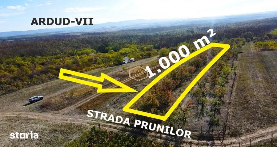 Teren de 1000 mp, în Burdea