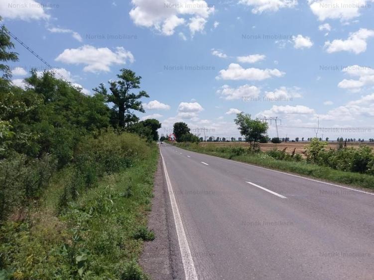 Teren agricol extravilan de 10000 mp, în Frumușani