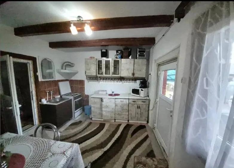 Casă cu 2 camere cu Teren 2000 Mp în Dumbrava (Unirea)