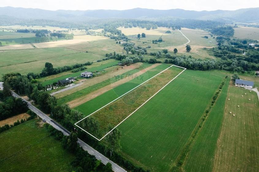 Teren Construcții intravilan de 10000 mp, în Nemțișor
