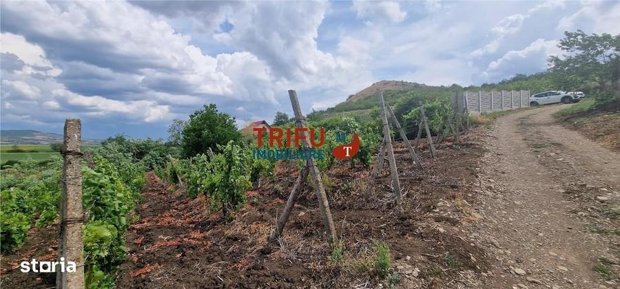 Spațiu comercial, în Șard