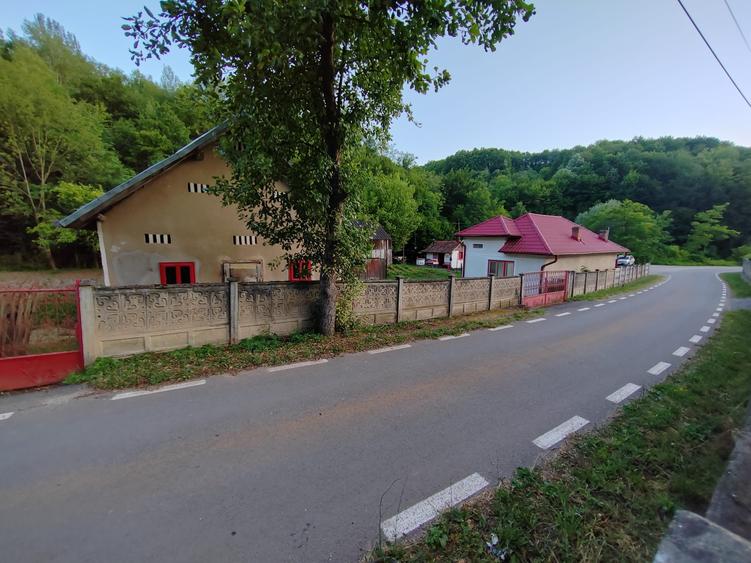 Casă individuală cu 4 camere cu Teren 8700 Mp în Băița
