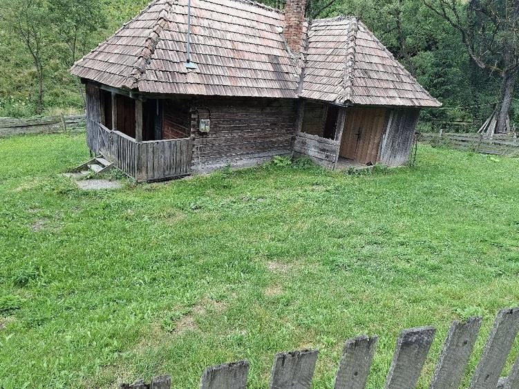 Teren de 4500 mp, în Muntele Băișorii