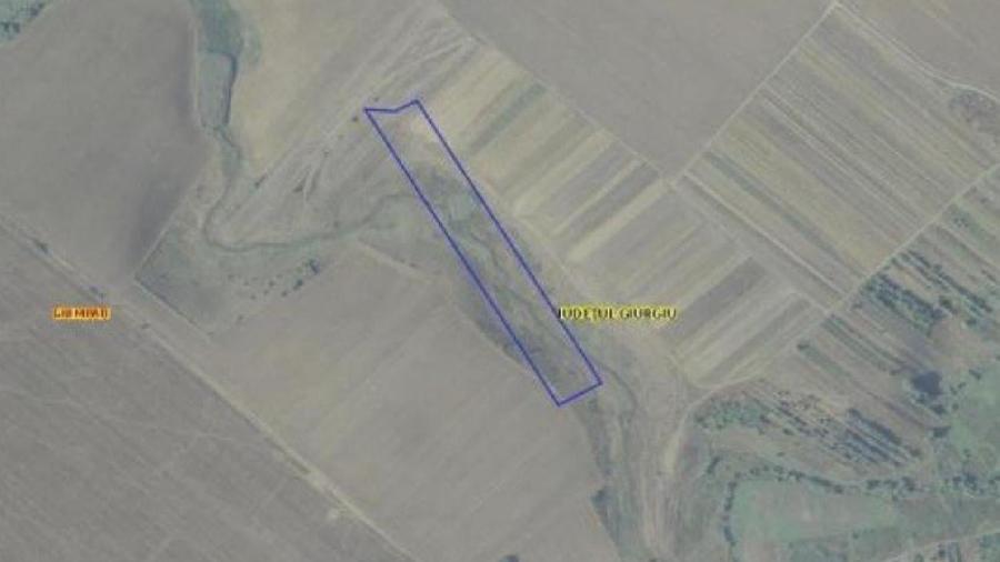 Teren agricol intravilan de 40000 mp, în Ghimpați
