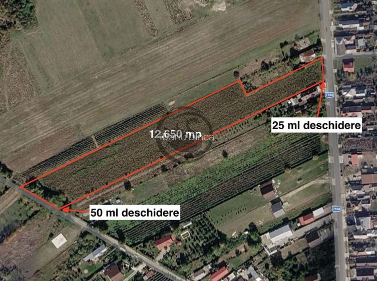 Teren intravilan de vanzare | 12.650 mp | Ghirdoveni | Comision 0%