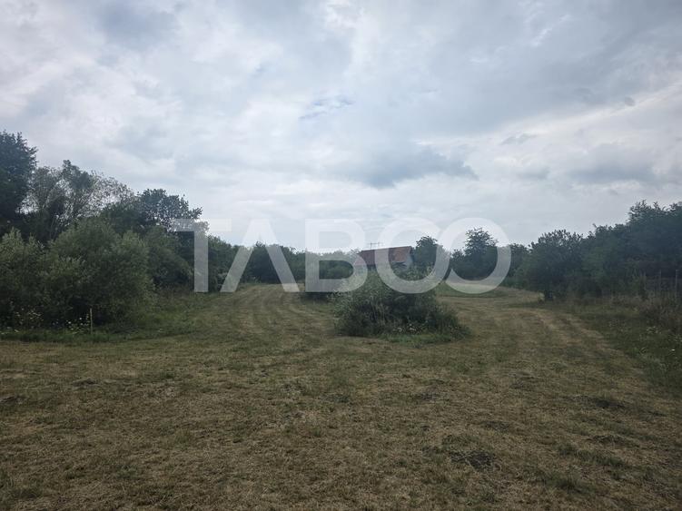 Teren agricol extravilan de 8700 mp, în Șura Mare