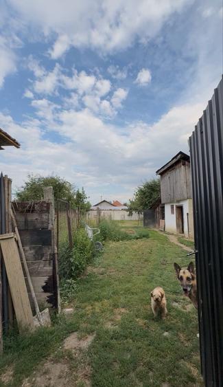 Casă cu 3 camere în Central