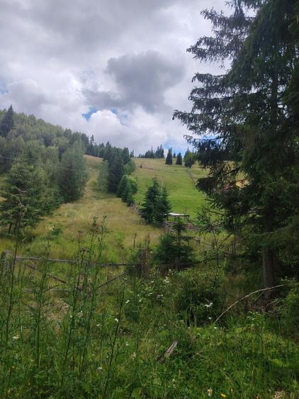 Vand teren in panaci - 5