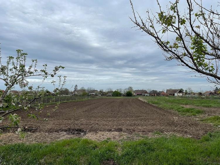 Casă cu Teren 2850 Mp în Tomnatic