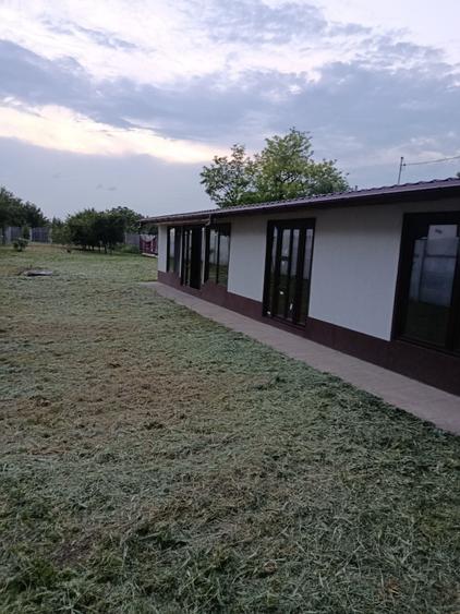 Casa plus teren Cazasu - 5