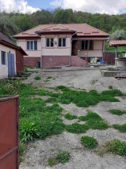 Casă cu 3 camere în Vad