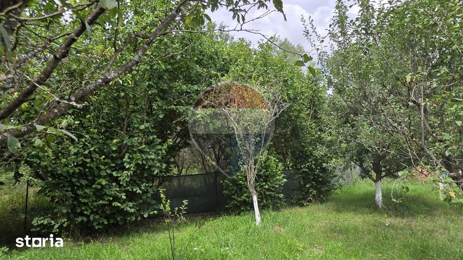 Casă cu 2 camere cu Teren 2800 Mp în Elciu