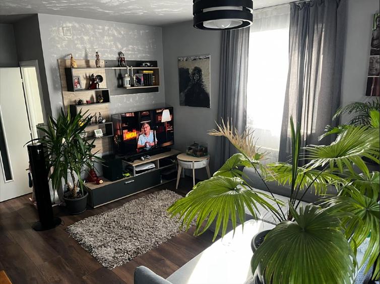 Duplex cu 2 camere cu Teren 77 Mp în Dristor