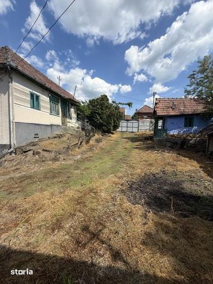 Casă cu 3 camere cu Teren 29000 Mp în Central