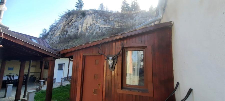Casă individuală cu 9 camere cu Canalizare în Caragiale