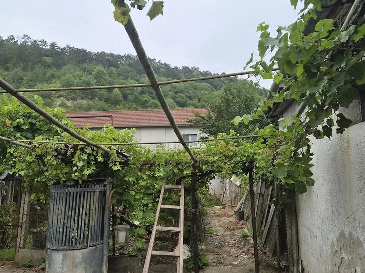 Casă cu 3 camere cu Teren 250 Mp în Central