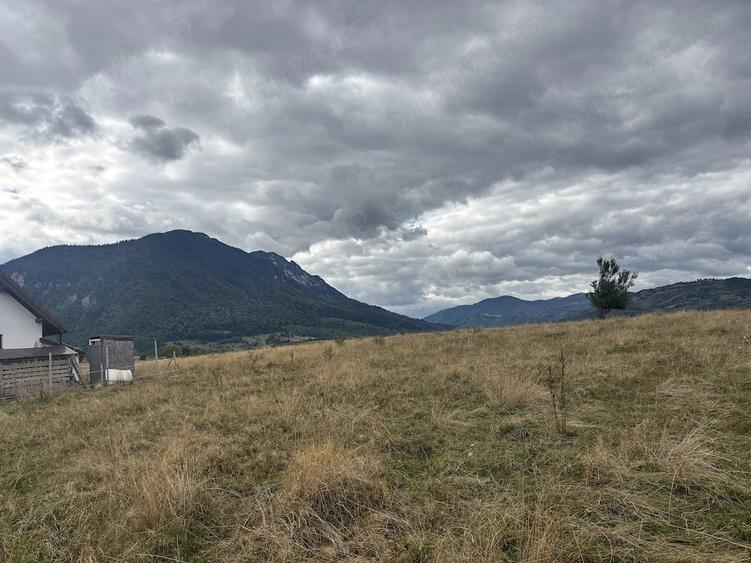 Teren de vanzare 2100 m2 zona Tohanita Zarne?ti - 3