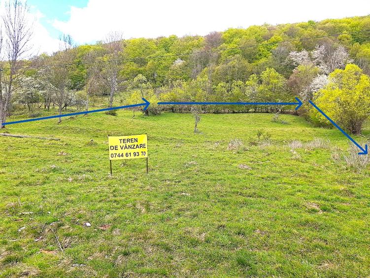 Teren agricol extravilan de 7069 mp, în Măcărești