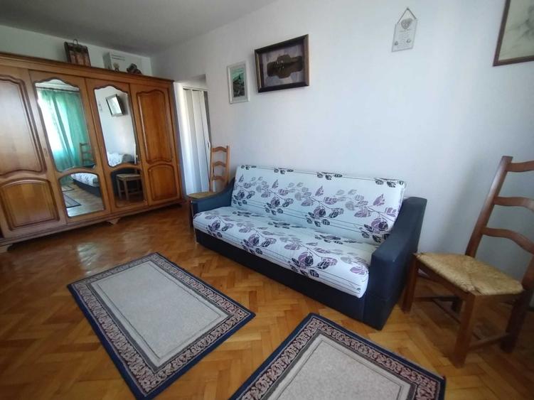 Pet Friendly ! Apartament 2 camere, CTP, Disponibil Imediat, Centru Civic - Zona Garii - 2