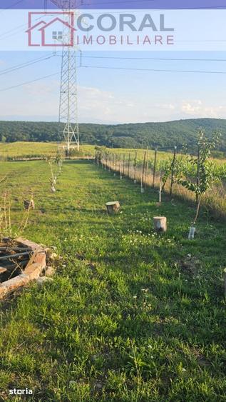 Teren de 2200 mp, în Cârjiți