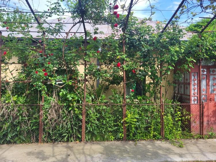 Casă cu 3 camere cu Teren 2200 Mp în Central
