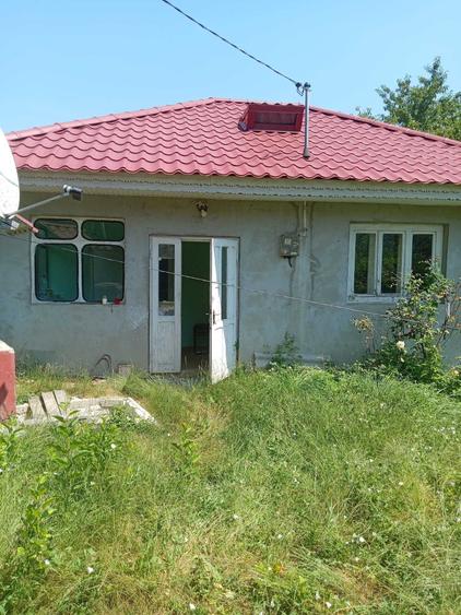 Casă cu 3 camere în Dumitreștii Gălății
