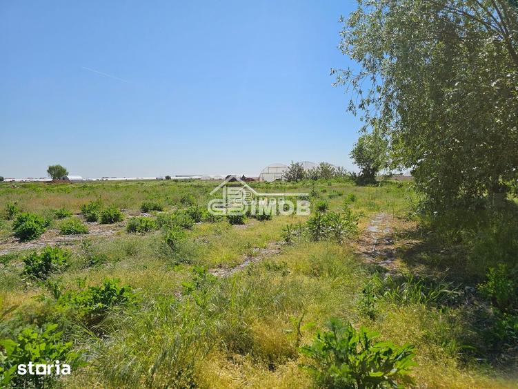 Teren de 10900 mp, în Băleni
