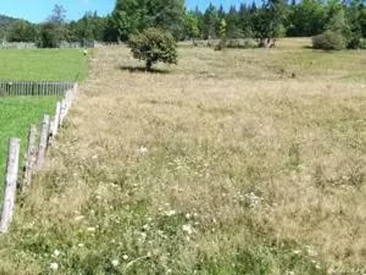 Teren de 2500 mp, în Valea Doftanei
