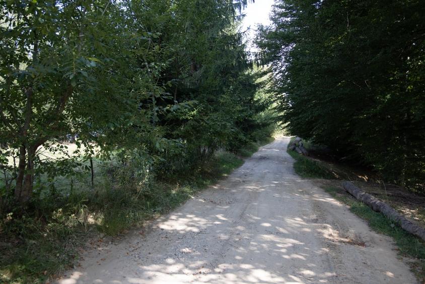 Teren Construcții extravilan de 10131 mp, în Bran
