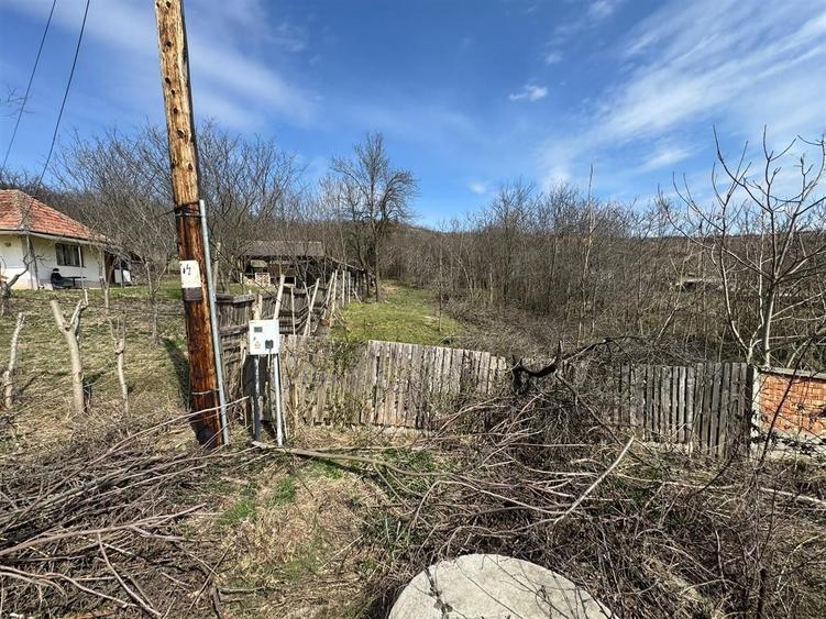 Teren Construcții intravilan de 11400 mp, în Corpadea