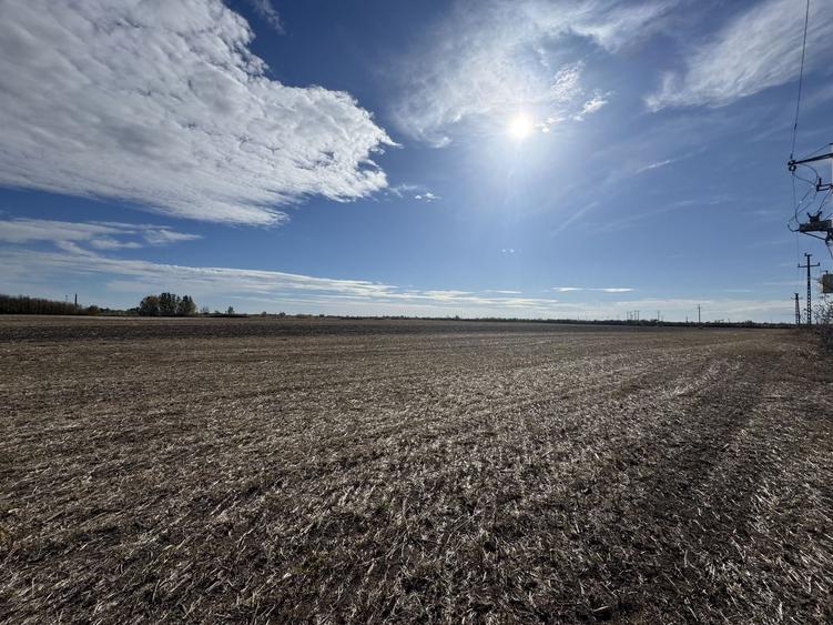 Teren agricol extravilan de 25000 mp, în Biled