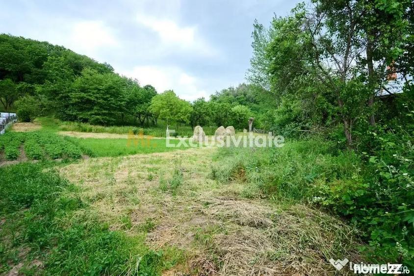 Casă cu 3 camere cu Teren 4696 Mp în Central