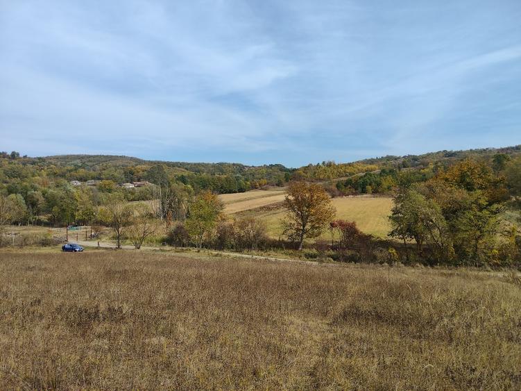 Teren agricol extravilan de 7043 mp, în Mihăești