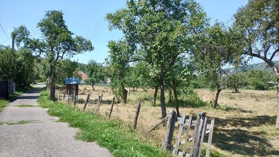 Teren de 9288 mp, în Bucova