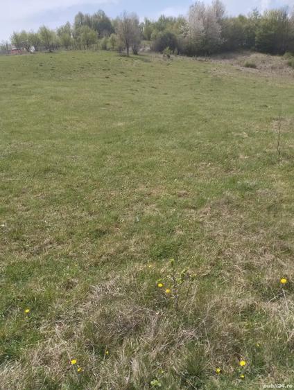 Teren de 3774 mp, în Ghelari