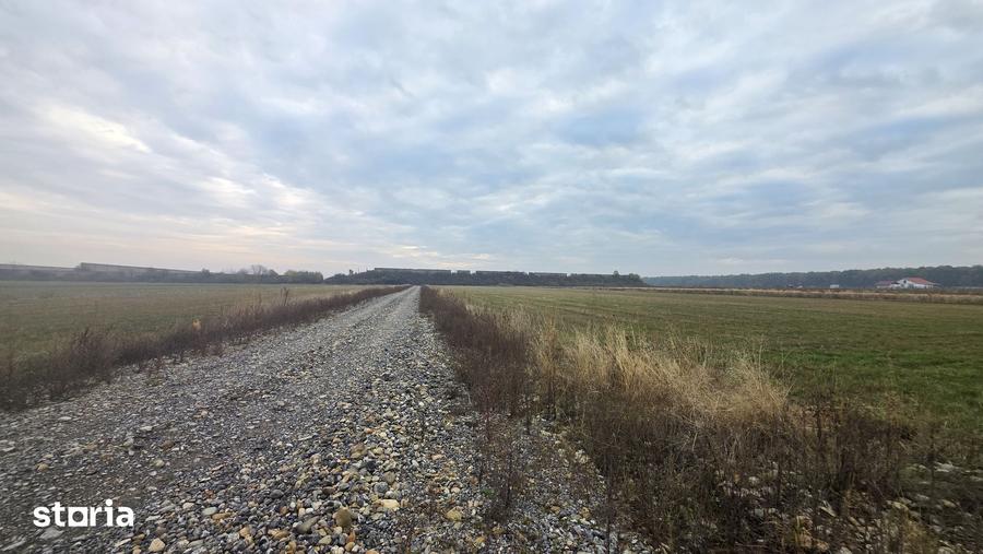 Teren de 500 mp, în Sânmartin