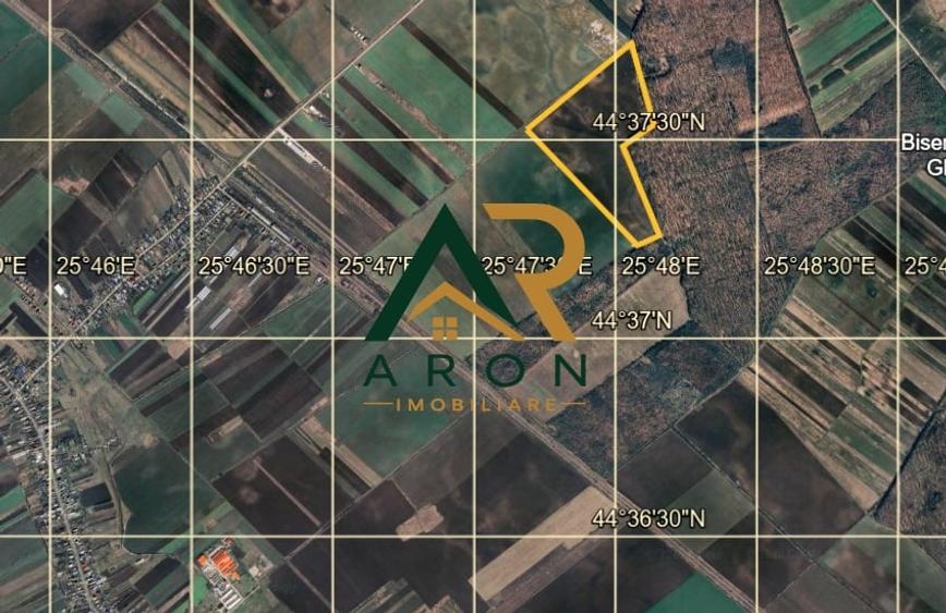 Teren agricol extravilan de 267526 mp, în Tărtășești