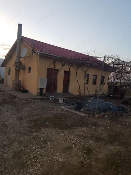 Teren de 10000 mp, în Mihail Kogălniceanu
