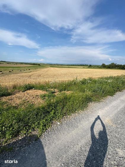 Teren de 3632 mp, în Viile Satu Mare