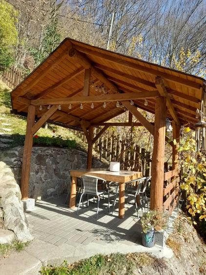 Casă cu 2 camere cu Teren 331 Mp în Lăpuștești