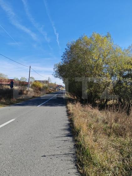 Teren agricol extravilan de 9000 mp, în Crăești