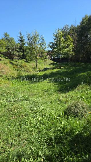 OCAZIE!!! Vand teren intravilan 900 mp Sadova, jud Suceava