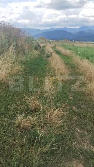 Teren agricol extravilan de 10000 mp, în Cristian