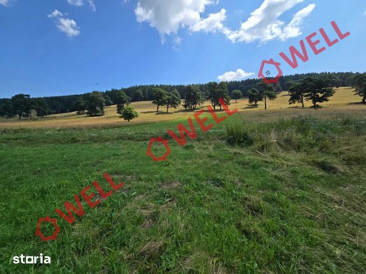 Teren de 3450 mp, în Valea Mare