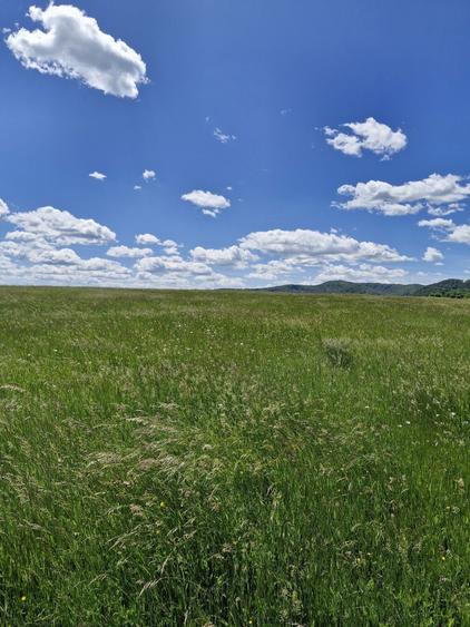 Teren de 14900 mp, în Crizbav