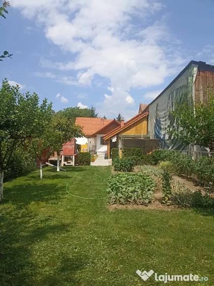 De vanzare casa particulara la Sfantu Gheorghe - 9
