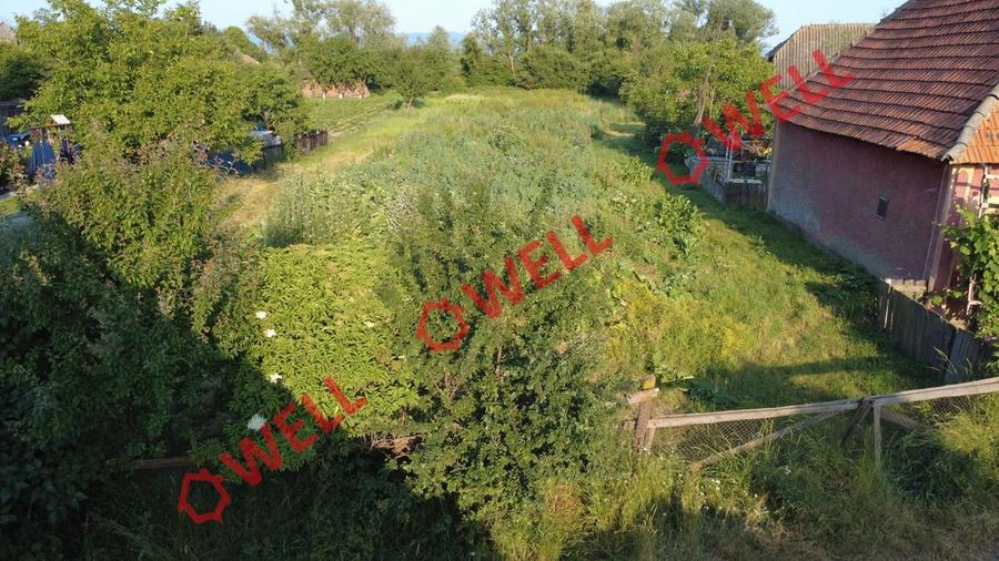 Teren agricol intravilan de 816 mp, în Leț